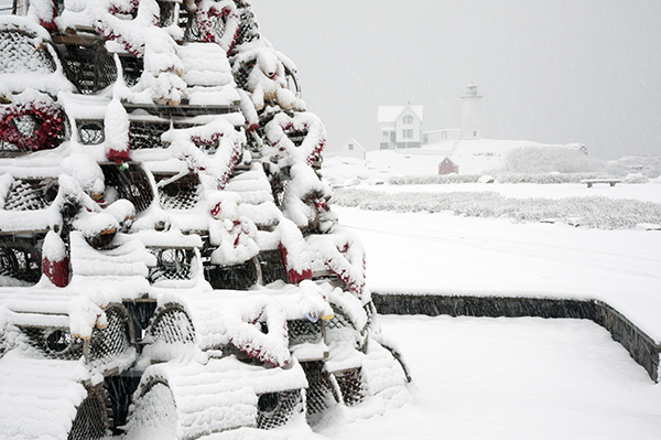 lobster trap holiday trees on new england s seacoast new nubble lighthouse christmas lights