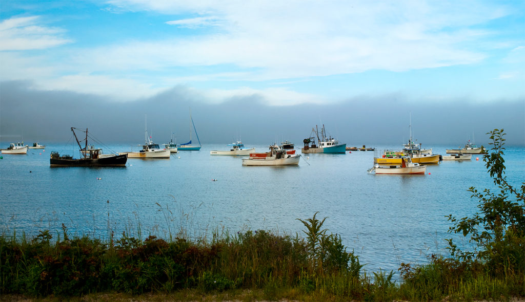 Fog lifts by fishing boats on Prospect Harbor.