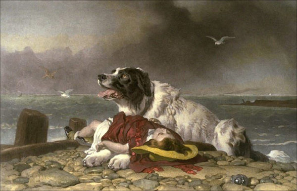 Painting of Milo the rescue dog by Landseer.