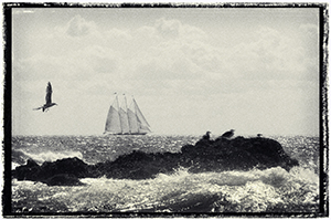 Schooner in the distance in southern Maine.