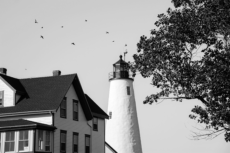 Birds circling around Bakers Island Light