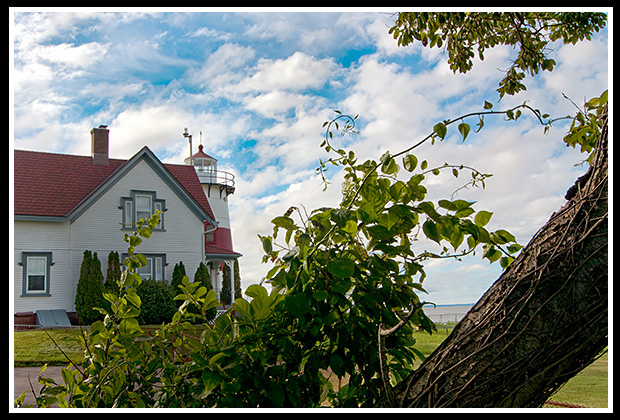 tree in front of gate at Startford Point lighthouse grounds