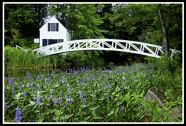 Somes Sound bridge in Acadia