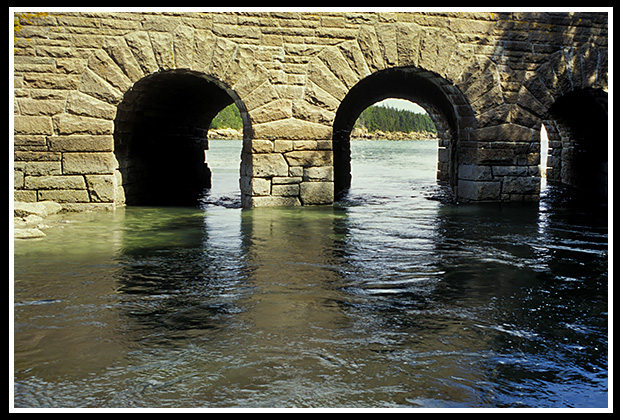 carraige bridge in Acadia