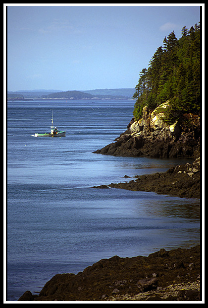 rocky shore of Acadia Park