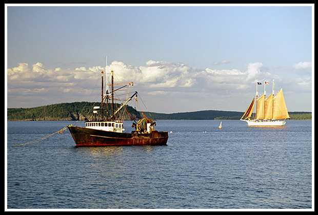 fishing and sailing boats in the harbor