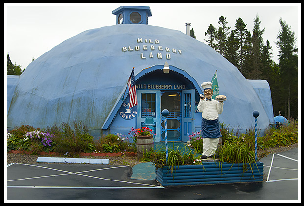 Wild Blueberryland Bake Shop