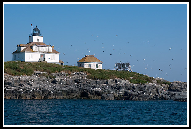 Egg Rock light is part of a wild life bird sanctuary