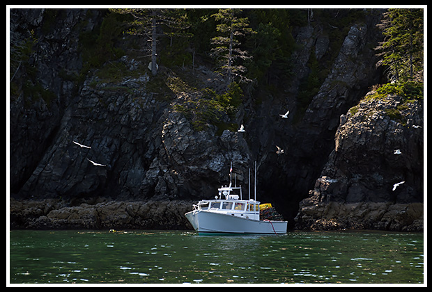 lobstering or fishing near island cliffs