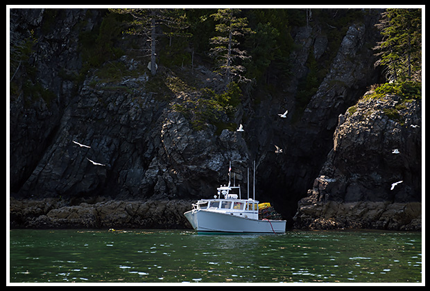 lobstering near rocky island cliffs