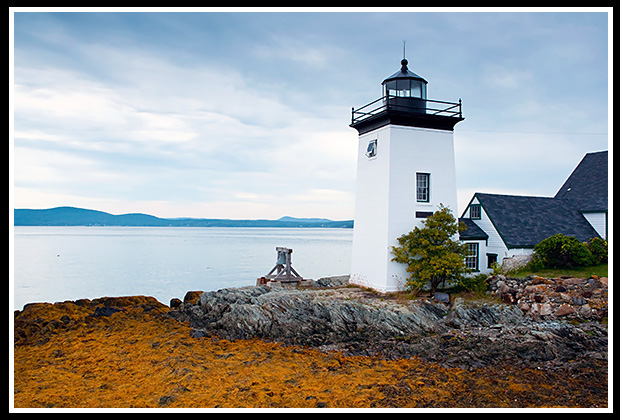 Boothbay Harbor Cruise: Lighthouses, Lobster Haul, and Seals