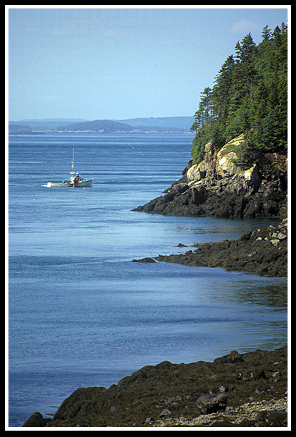 acadia shoreline by Isle au Haut