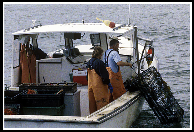 lobstermen hauling traps