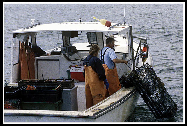 lobstermen hauling traps