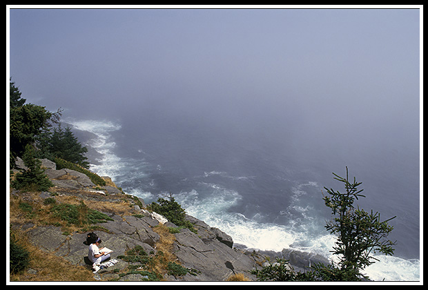 cliffs on edge on Monhegan island cliffs