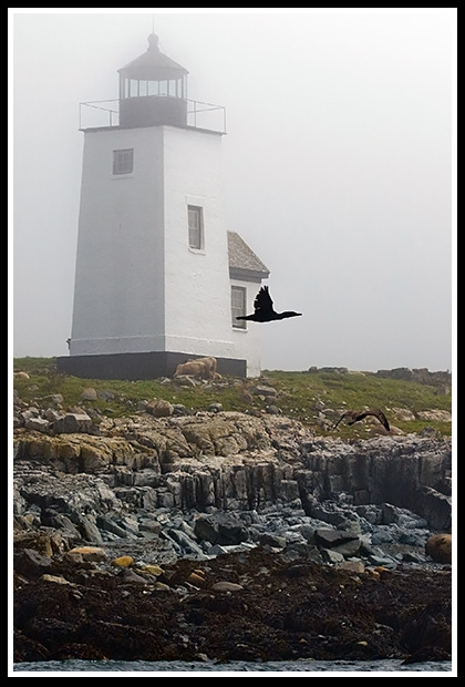 Nash Island light engulfed in fog