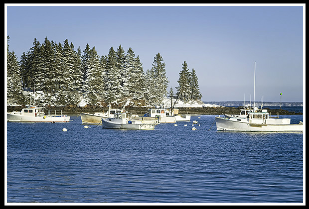fishing boats moored after snowsotrm in Owls Head Harbor