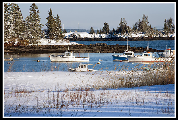 Owls Head Harbor after snowstorm with lobster boats still moored