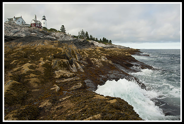 rocky coastline of pemaquid light