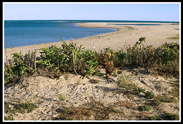 Chatham lighthouse beach