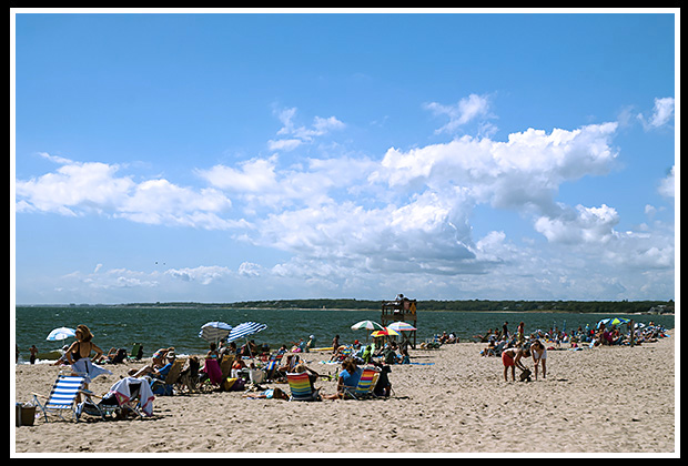 Harding's Beach in Chatham