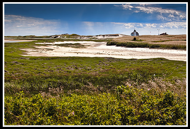 seashore hking towards race point light