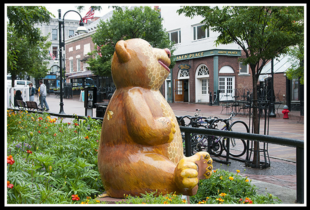 teddy bear statue on Church Street in Burlington