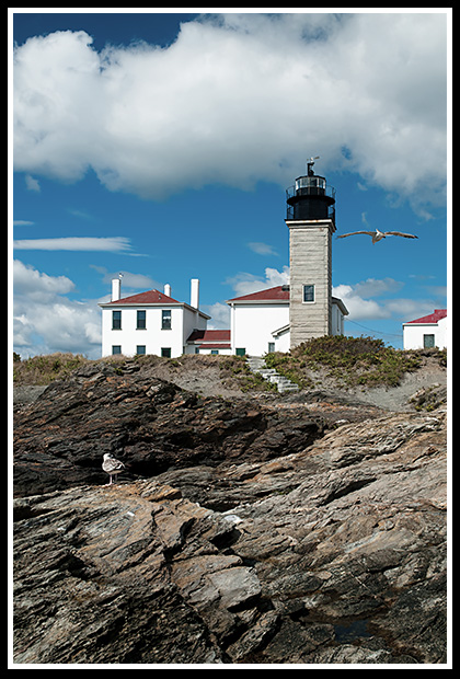 seagull flies by Beavertail light