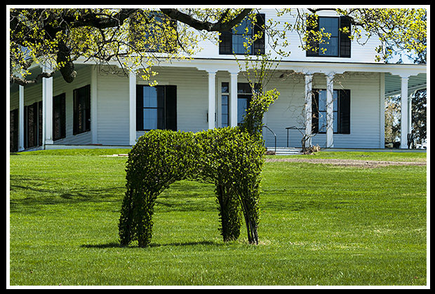 topiary animal in front of museum