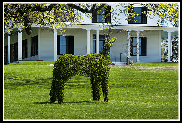 topiary animal in front of museum