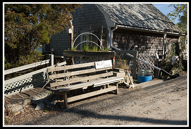 quaint rest stop bench