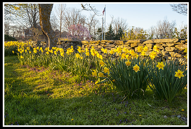 stone wall along Sakonnet in Rhose Island